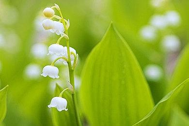 《星球大战 绝地：幸存者》公布官方剧情预告